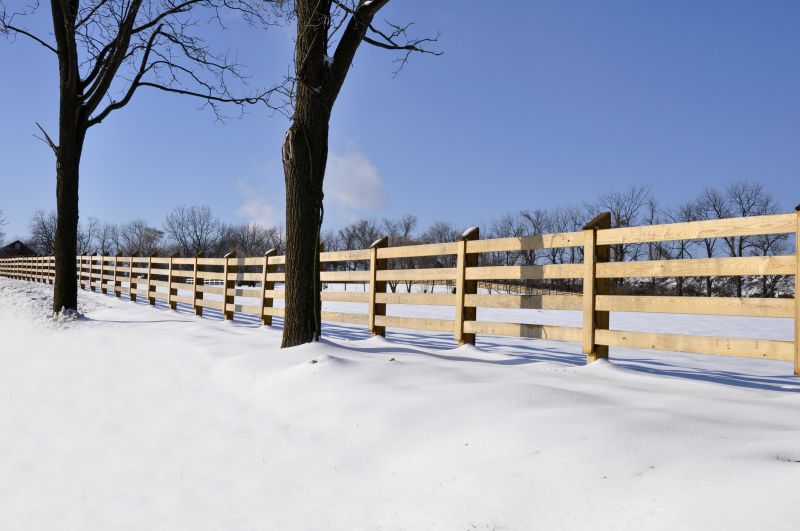 Fence in Winter
